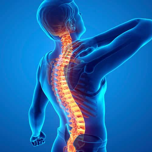 Stem Cell Therapy for Spinal Cord Injuries in India: How Regenerative Medicine is Restoring Function and Mobility